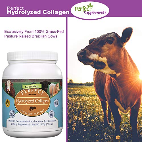 image for Perfect Supplements – Perfect Hydrolyzed Collagen Powder – 660g �
