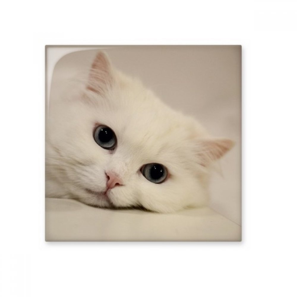 Carreaux de céramique murale chat blanc de qualité supérieure pour décoration