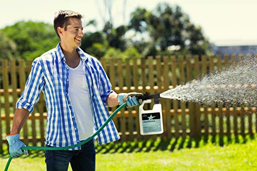 Balanced 16-4-8 Nutrient Liquid Fertilizer (32oz Ready to Spray) - Premium Lawn Food, NPK with Added Seaweed Extract, Treats Common Deficiencies, Safe for All Grass Types (Upgraded Sprayer)