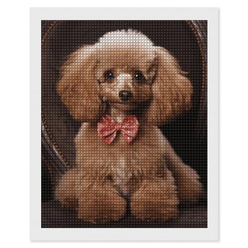 Peinture diamant 5D caniche anti-stress kit complet perles carrées sans vide