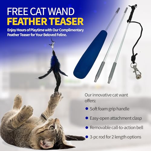 Image of Pet Fit For Life Extra Large Cat Carrier for Travel - Foldable & Portable Collapsible Kennel with Litter Box, Feather Toy & Water /Food Bowl - Ideal for Cars, Long Trips & Indoor Cats - Teal Checkers