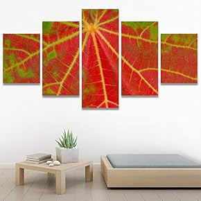 SIGNWIN 5 Panel Canvas Wall Art Modern Art...
