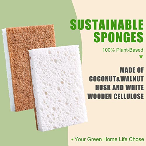 Panyee Biodegradable Natural Kitchen Sponge，Eco Friendly Sponges For Dishes,Compostable Cellulose Sponge With Natural Plant Based Coconut Walnut Sustainable Scrubber Sponge Pack Of 12 #TOP1