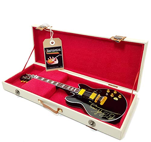 mini chitarra bb king BBKING lucille 335 king of blues modello replica + custodia rigida scatola miniatura in scala 1:4 chitarra miniatura con custodia da collezione gadget rock memorabilia
