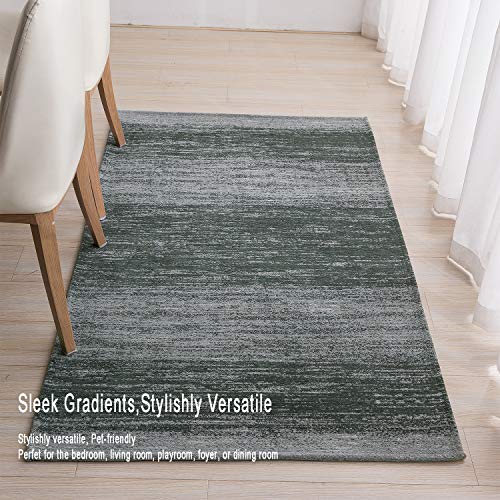 AMIDA Runner Rug for Hallway Washable Non Skid 2.3'x8.9' Grey Charcoal - Contemporary Abstract Stripe - Flat Weave - Non Shedding - Dog Friendly Easy Care - 9 Kitchen Runner Indoor Floor