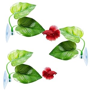 CousDUoBe Betta-Fischblatt-Pad 3 Stück