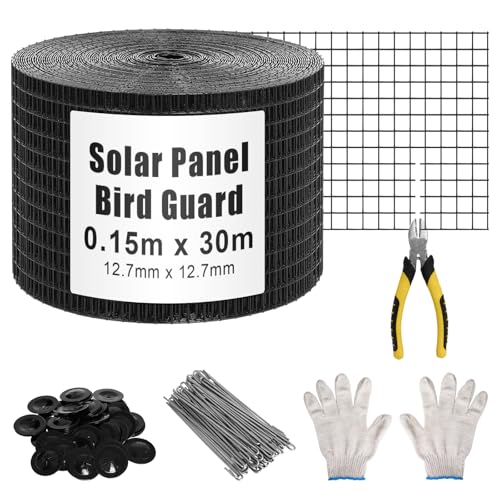 How many times a year do seagulls lay eggs