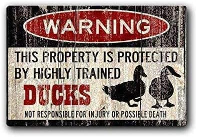 Tin speaking Fashionable Duck Sign,Duck Eggs,Funny Duck Sign Iron Painting 8X12 INCH Metal Tin Sign