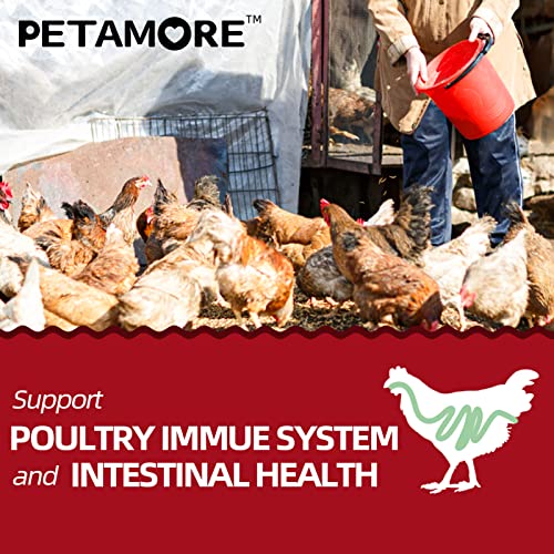 petamore 5lbs Bulk Protein Treats Alternative to Dried Mealworms for Chickens Non-GMO Dried Black Soldier Fly Larvae for… - Image 5