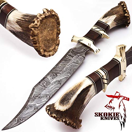 SkokieKnives Damascus Steel Hunting Knife Stag Antler Handle with Burl Wood & Brass Guard â€“15â€ Handmade Premium Quality Sharp Edge Fix Blade - Genuine Multipurpose Knife â€“ Ideal for Hunting, Camping