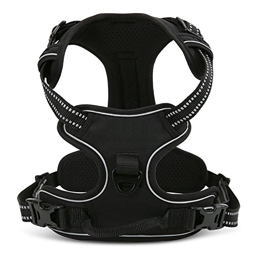 OUTAD - Pettorina per cane di dimensioni