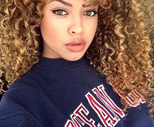 Eseewigs Afro-Perücke, lockig, Ombré-Stil, braun mit dunklen Wurzelansätzen, hitzebeständige Kunstfaser-Perücke, Haarnetzfront, für Damen