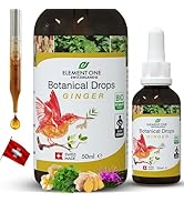 Natural Botanical Drops – Ginger and Digestive Enzymes in an Organic Formula for Comprehensive We...