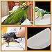 Ipetboom 100pcs Bird Cage Liners Absorbent Urine Mats for Parrots Easy to Clean Convenient and Breathable Bottom Pads for Birdcage Maintenance