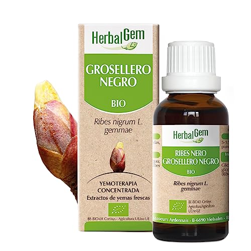 HERBALGEM - Macerado Madre - Grosella Negra Orgánica - Suplemento Alimenticio Concentrado de Yemoterapia - Extracto de brotes Frescos - Para Articulaciones, Músculos - Vegano - 30ml