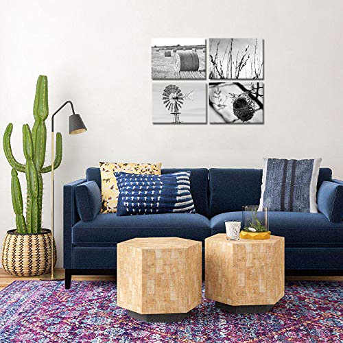 Nachic Wall 4 Piece Wall Art Black And White Texas Countryside Scenic Pictures Hay Bales Cotton Field Windmill Birds Nest Photo Canvas Art Painting For Farmhouse Home Wall Decor Artwork Ready To Hang #TOP3