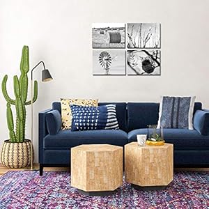 Nachic Wall 4 Piece Wall Art Black and White Texas Countryside Scenic Pictures Hay Bales Cotton Field Windmill Birds Nest Canvas Art Painting for Farmhouse Wall Decor