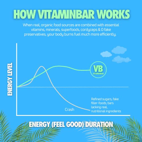 Vitaminbar Nutrition Bar - Energy Bar - Vitamin Infused - Prebiotic Superfoods - Cordyceps - 12G Protein - All Natural - Zero Bs - Blueberry (12 Bars) #TOP5