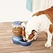 Petmate Replendish Feeder with Microban Automatic Cat and Dog Feeder 4 Sizes Available