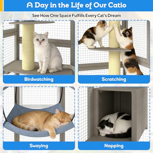 Image of Large Walk-in Catio Outdoor Cat Enclosure with Window Access