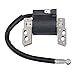Produktbild Beehive Filter Elektronisch Zündspule Ersetzt for Briggs & Stratton 695711,802574,493237,796964,492416