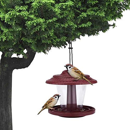 Outdoor Hanging Wild Bird Feeder Clear Plastic Pavilion Shape with Roof Waterproof Garden Backyard Decoration Lightweight Portable Feeders Iron for Courtyard Patio Front Porch