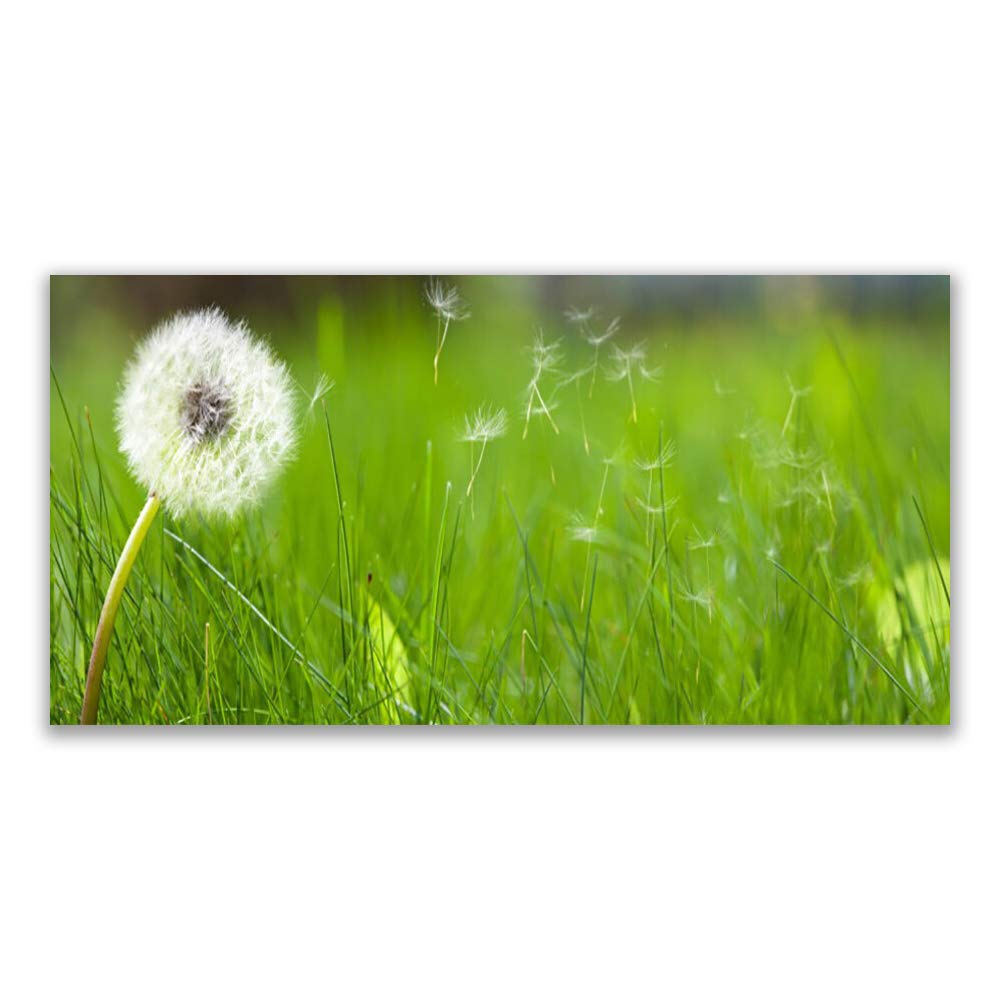Impression sur Verre Trempé 120x60 cm Tulup Tableau Mural Herbe Floral Design Moderne