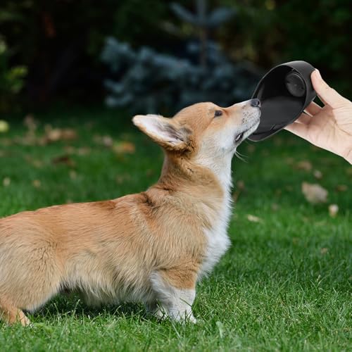 QWORK® Trinkflasche Hund Große 750ml, Hundetrinkflaschen aus 304 Edelstahl, Hundetrinkflasche Tragbar, zum Spazierengehen, Wandern, für Outdoor-Aktivitäten