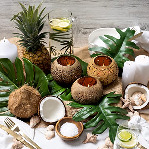 Jollifers Coconut Shell Candle Holders - Set Of 3 Tropical Decor Coconut Candles For Table Centrepieces - Natural & White Candle Coconuts For Tiki Decor, Luau Decorations Or Hawaiian Table Decorations #TOP3