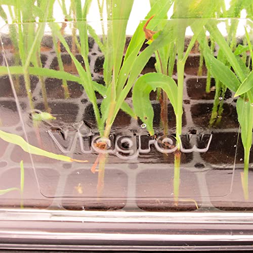 Viagrow Vtd300-5 Clear Humidity, Propagation Plastic Tall Dome (5 Pack) #TOP5