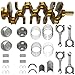 G4KJ 2.4 Engine Rebuild Kit with Crankshaft Connecting Rod Bearings Pistons Fit for Hyundai Santa Fe Sonata Kia Optima Sorento Sportage 2.4L 2010-2020 Replace 231112G230 72RZ62GF00 23040-2G500