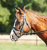  BUSSE Trense SHETTY II