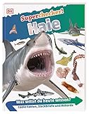  Superchecker! Haie: Was willst du heute wissen? Coole Fakten, Steckbriefe und Rekorde