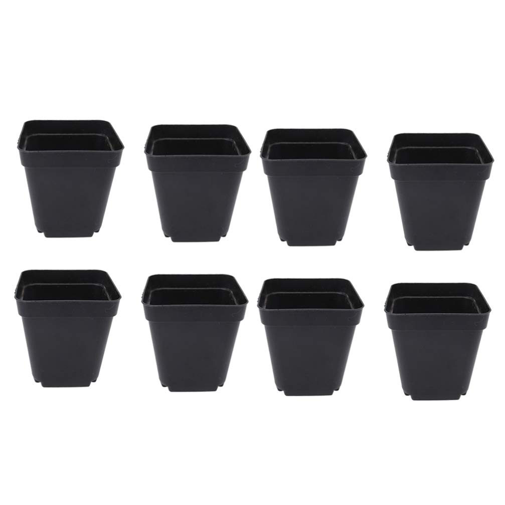 DOITOOL Godet pour Semis Noir 50Pcs - Carré Pots de Plantes en Plastique-Petit Pot de Fleur Interieur Exterieur (Noir/ 6x6x6.5cm)