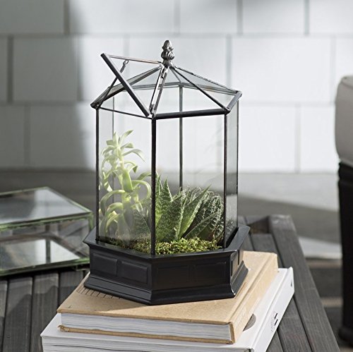 H Potter Glass Terrarium Succulent Planter Wardian Case Plant Container Six Sided War151 #TOP6