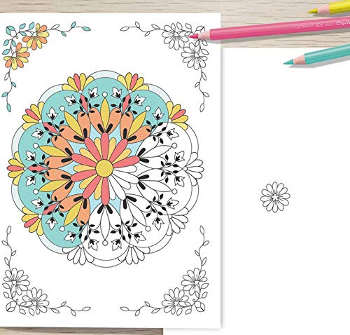 8 Count | Adult Coloring Cards With Envelopes | Art Therapy | Flower Mandala Art | Thank You Cards | Birthday Cards | Creativity And Relaxation #TOP1