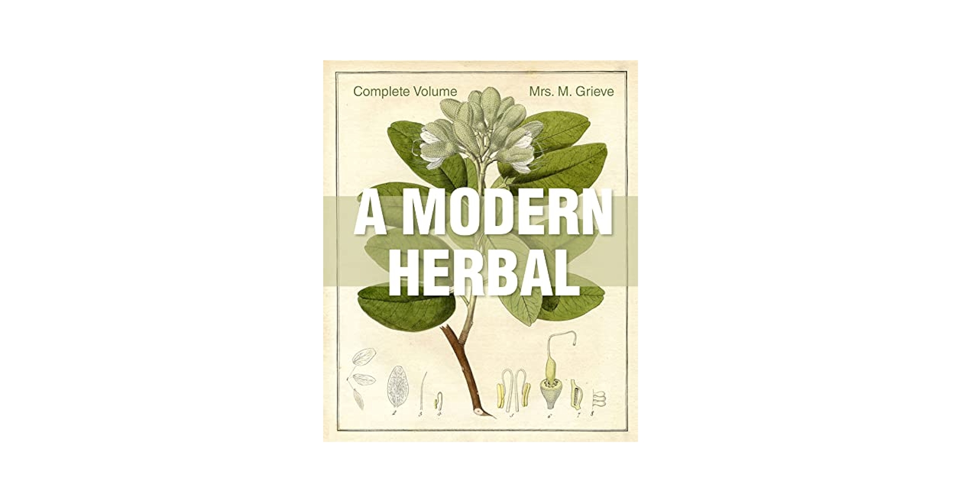 A Modern Herbal: The Complete Edition: Grieve, Margaret