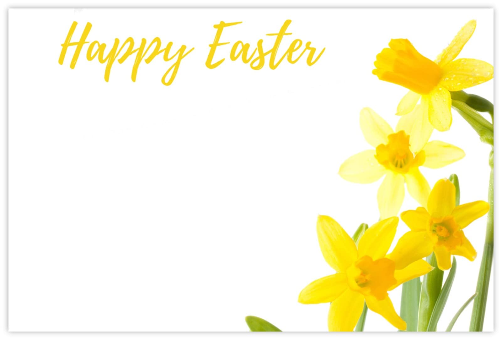celloexpress Happy Easter (Daffodils) Flower Message Cards - 60mm x 90mm - Easter Florist Card Gift Notes (Pack of 100)