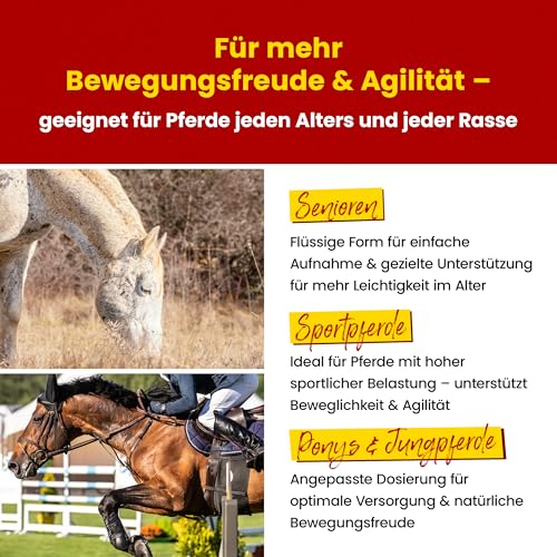 Scheidler horse-direkt Teufelskralle Liquid für Pferde 2500ml – Flüssiger Booster für mehr Bewegungsfreude – 100% Natürliches Ergänzungsfutter – Alternativ zu Teufelskralle Pulver/Pellets
