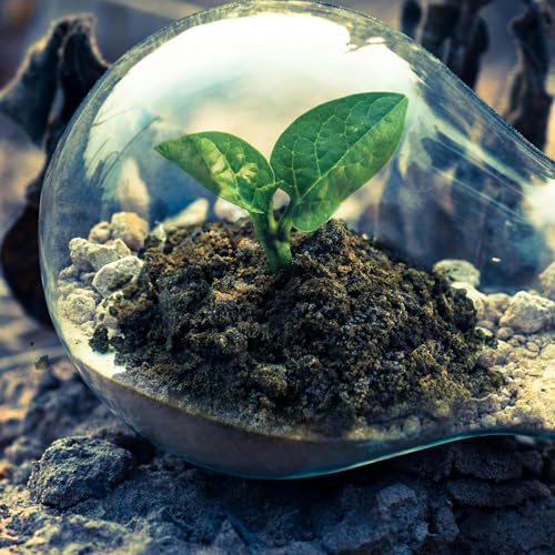 Engineering for Longevity: Software Evolution and Hardware Permanence