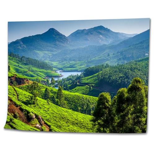 VETEB Paint by Numbers Kit for Adults Beginner Tea plantations River Hills Kerala India DIY Painting on Canvas by Numbers Acrylic Oil Painting for Home Decor Gifts 16