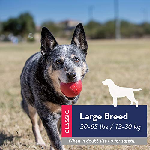 Kong Red Rubber Ball Rubber Rubber Ball Large #TOP1