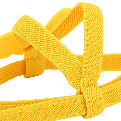 Image of Bird Harness Leash, Premium Bird Harness and Leash Pet Outdoor Flying Rope Training Supplies for Parrots Pigeons Birds(Yellow)