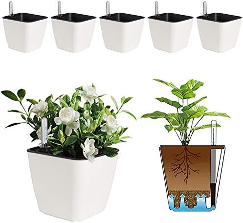 T4U 5.5 Inch Self Watering Plastic Planter with Water Level Indicator Pack of 6 - Matte White, Modern Decorative Planter Flower Pot for House Plants, Herbs, Aloe, African Violets, Succulents and More