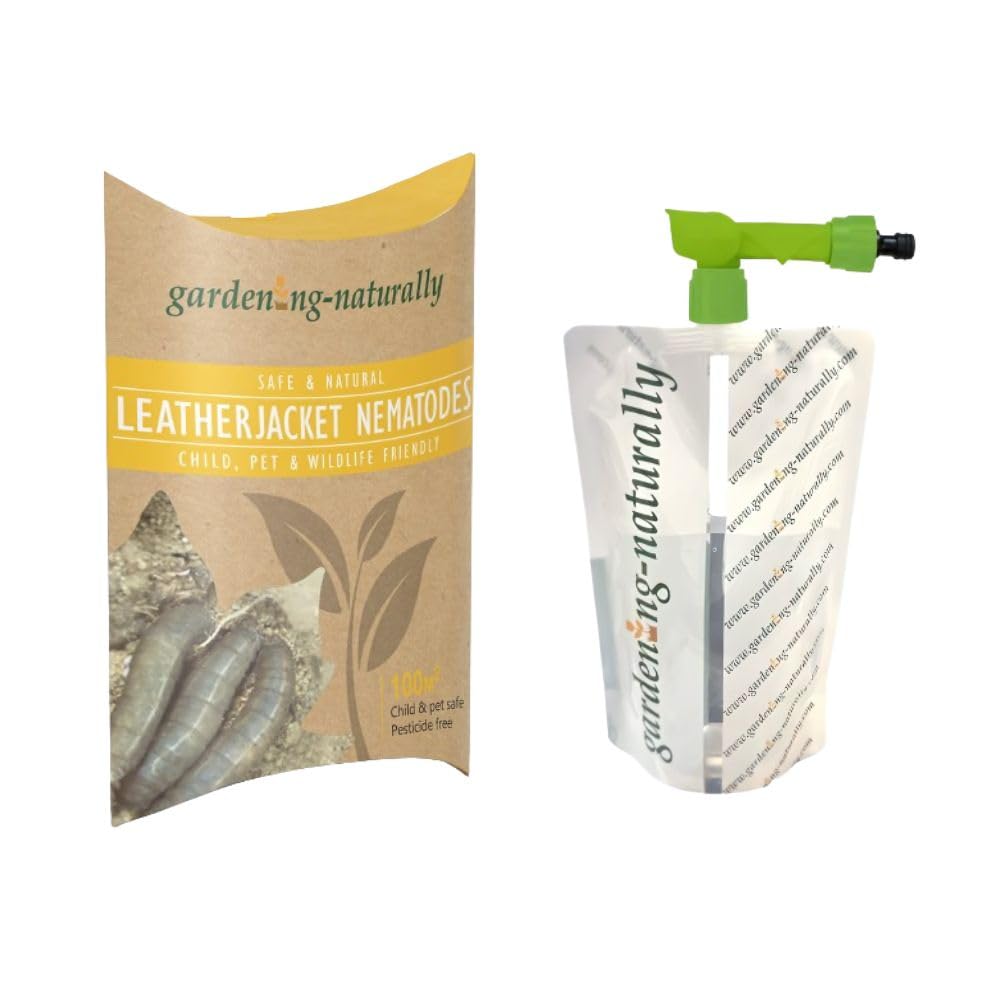 Leatherjacket Nematodes 100sq.m Gardening Naturally with Bag Applicator