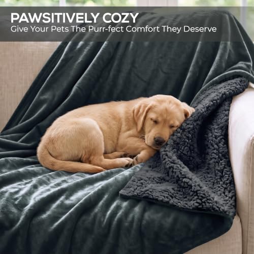 MollisHomes Sherpa Double Bed Blanket 400 GSM, 220x240 cm, Charcoal - Image 8