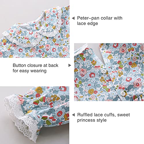 Pureborn Baby Toddler Girls Floral Dress Long Sleeve Spring Fall Playwear Dresses Floral Blue 12-24 Months #TOP4