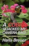 A Cobra Hijacked My Camera Bag! Snakes and Stories from Taiwan