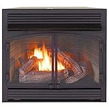 ProCom Dual Fuel Ventless Gas Fireplace Insert - 32,000 BTU, Remote Control - Model A-FBNSD400RT-ZC,Black