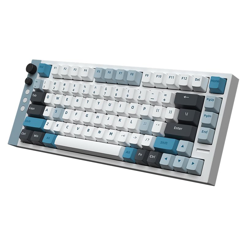 Amazon.co.jp: ラムズ(Lamzu) JET75 White ラピットトリガー